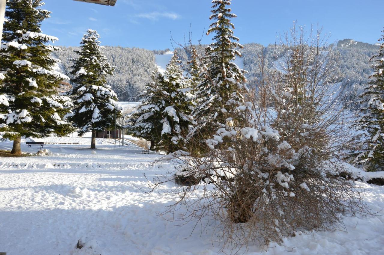 Villard De Lans Luaran gambar